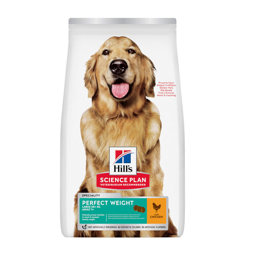 12 kg Hill's Science Plan Perfect Weight Adult Large Pollo pienso para perros, , large Imagen numero 1