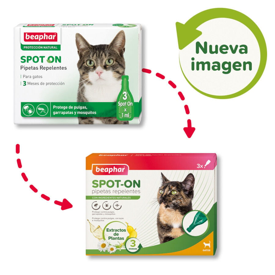 Beaphar Pipetas repelentes para gatos, , large Imagen numero 2