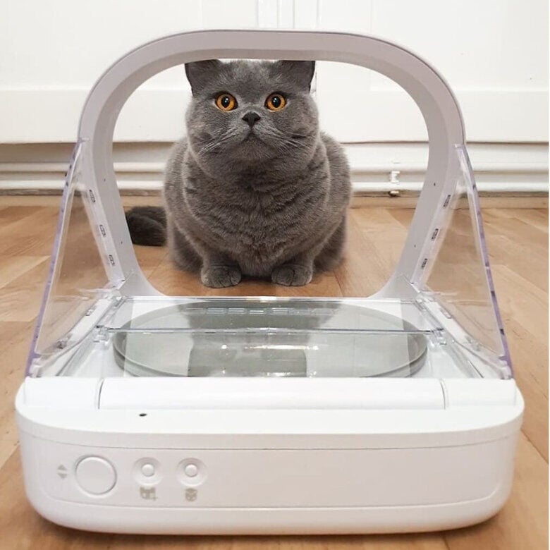 Sure Petcare Surefeed Comedero Autom&aacute;tico con Microchip, , large indicador imagen numero 7