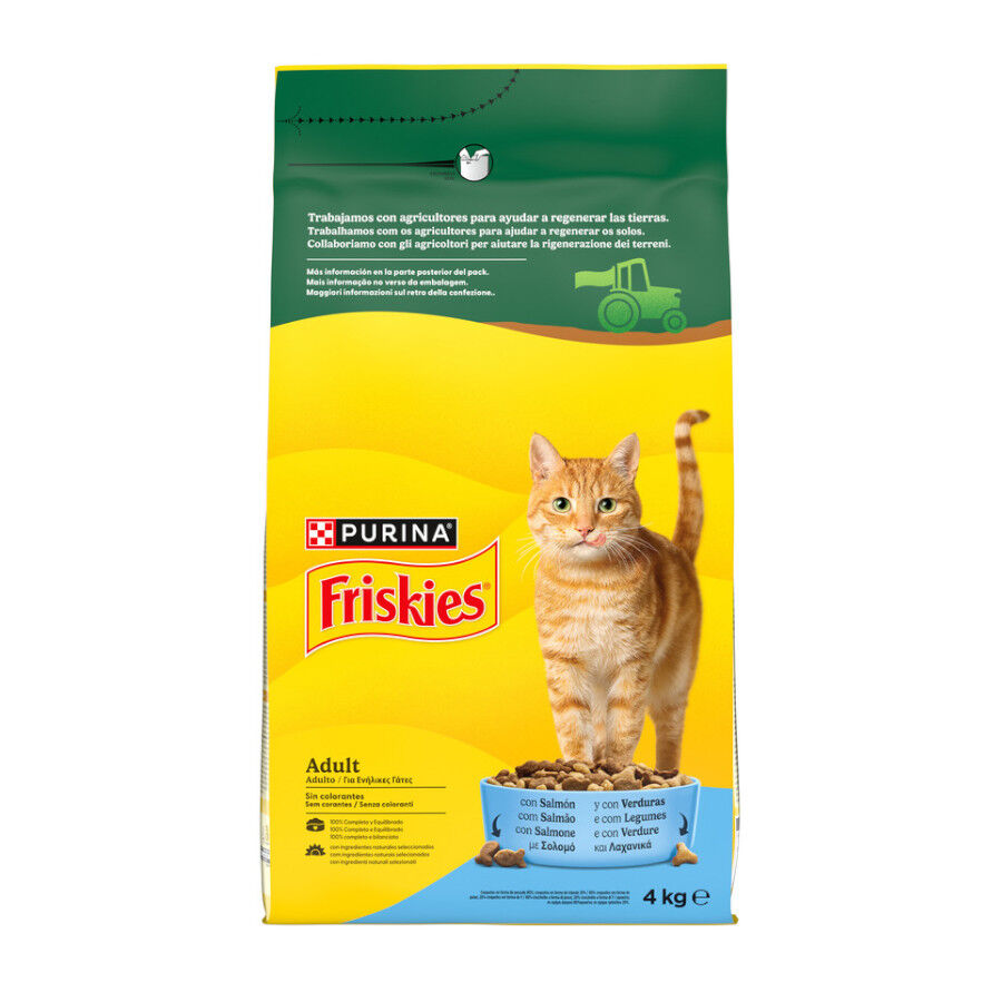 4 kg Purina Friskies Adult Pienso para gatos con salm&oacute;n y verduras, , large indicador imagen numero 1