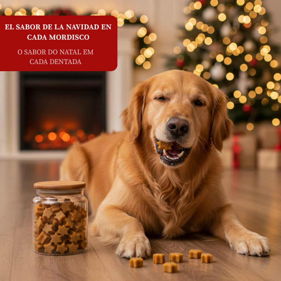70 g Wonder Christmas Galletitas Navide&ntilde;as para perros, , large Imagen numero 4