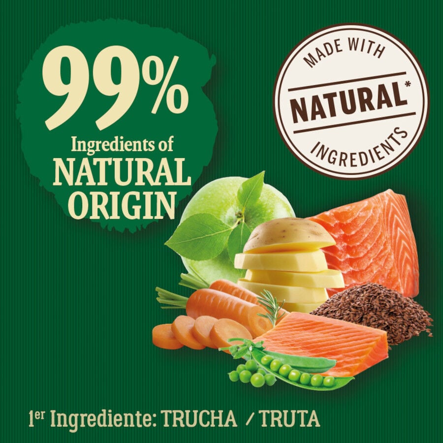 2 kg True Origins Wild Ocean River Salm&oacute;n y Trucha pienso para gatitos, , large Imagen numero 3