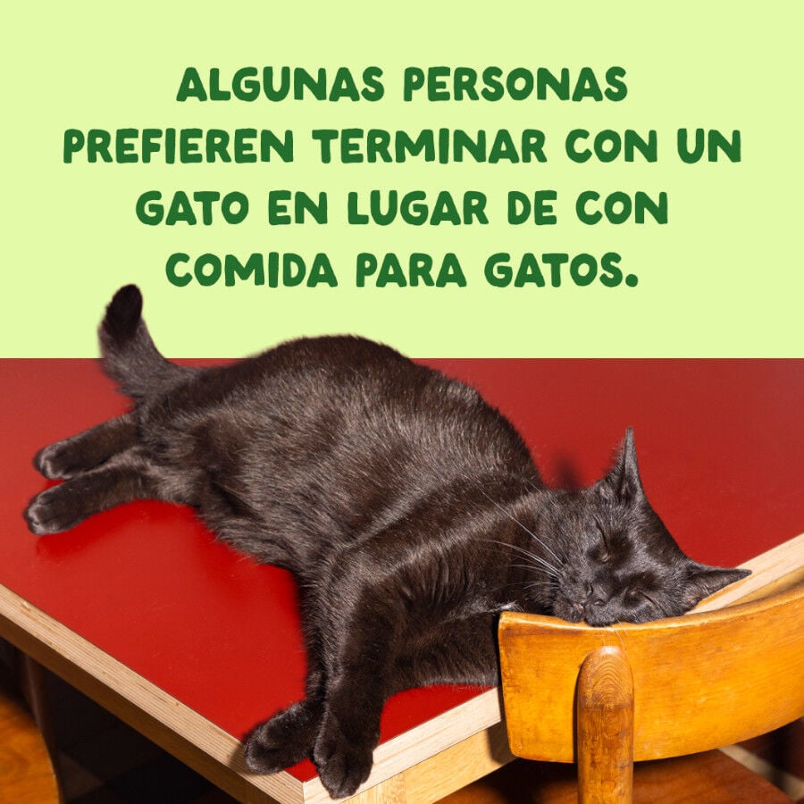 70 g Edgard & Cooper Filetes de Caballa Lata para gatos, , large Imagen numero 9