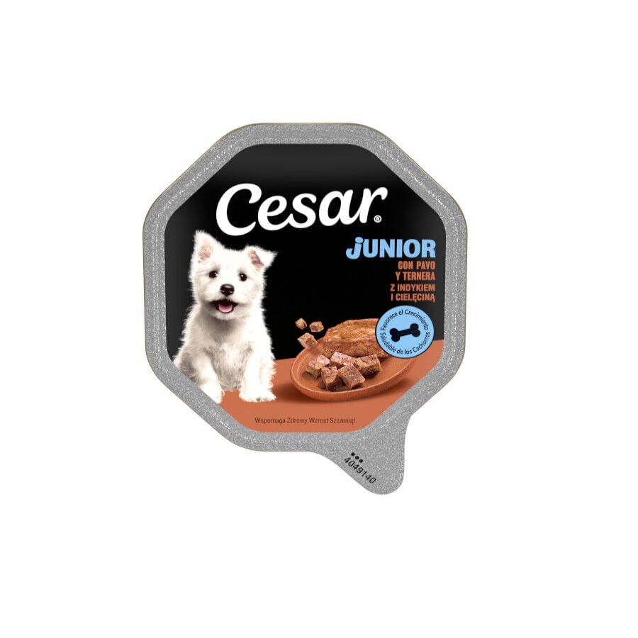 Cesar Pavo y Ternera Tarrina en Gelatina para Cachorros
