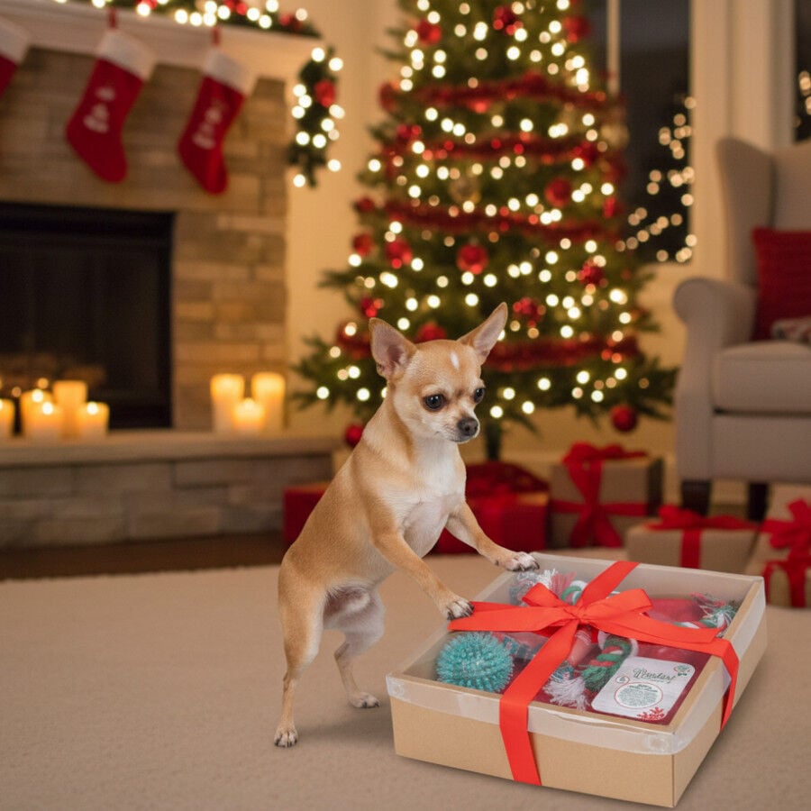 Wonder Christmas Caja de Juguetes Navide&ntilde;os para perros, , large indicador imagen numero 3