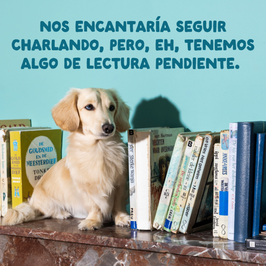150 g Edgard & Cooper Adult Grain Free Cordero y Pollo sobre para perros, , large indicador imagen numero 11