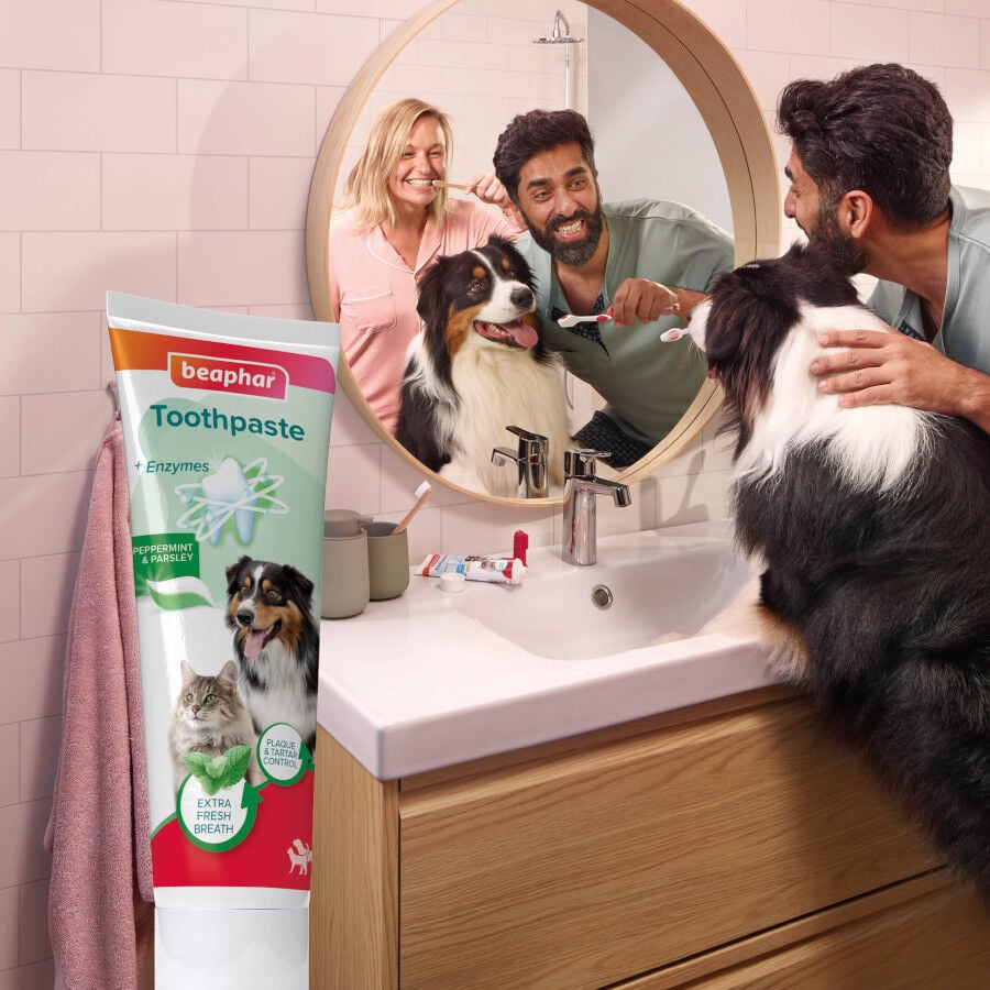 Beaphar Pasta Dental  Menta  Perejil para Perros y Gatos, , large Imagen numero 2