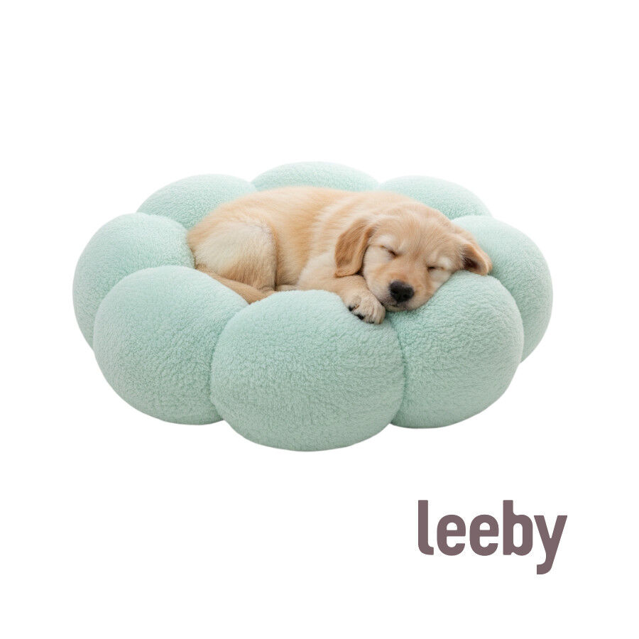 Leeby Sof&aacute; Flower Bed Swirl Azul para perros, , large Imagen numero 2