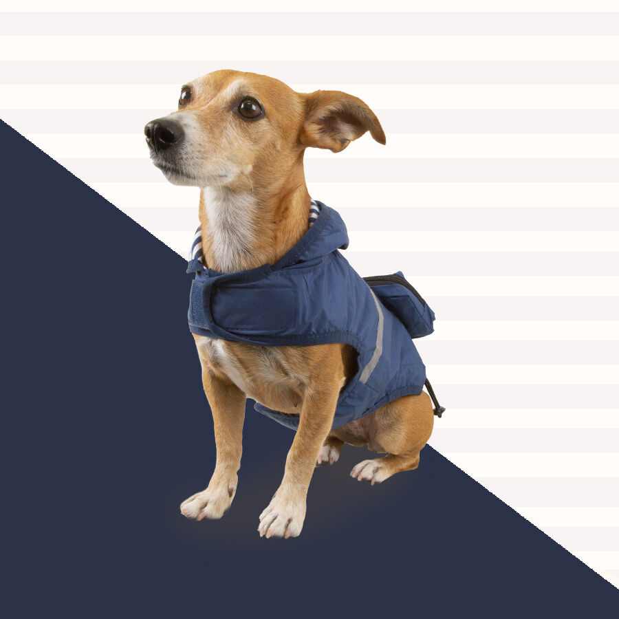 Outech Impermeable con Bolsillo Azul Marino para perros, , large indicador imagen numero 3