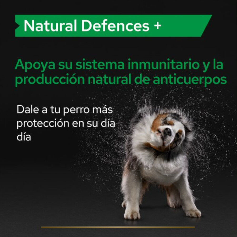67 g Pro Plan Relax + para perros, , large Imagen numero 5