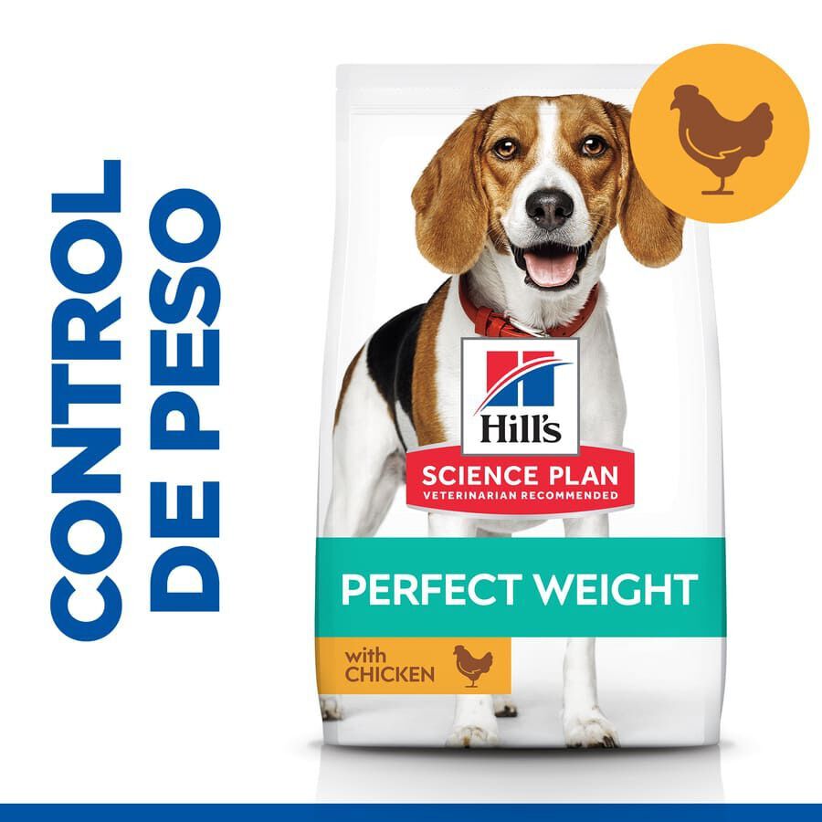 12 kg Hill's Science Plan Perfect Weight Adult Medium Pollo pienso para perros, , large Imagen numero 2