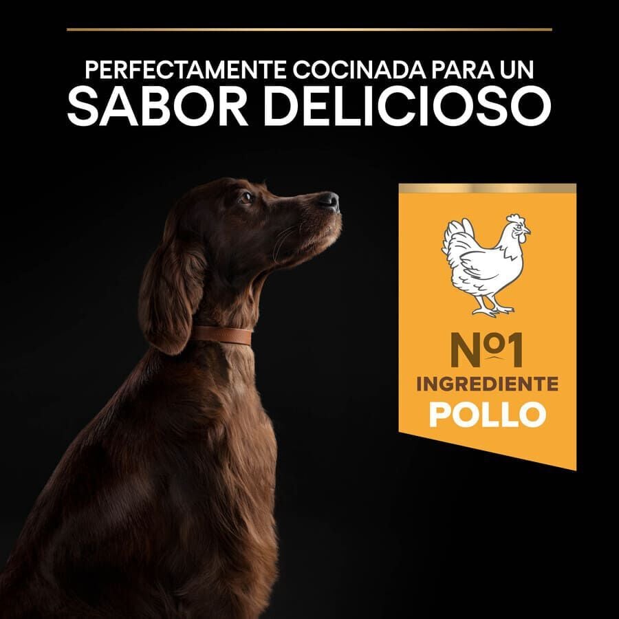 14 kg Pro Plan Large Athletic Adult Pollo pienso para perros, , large Imagen numero 7