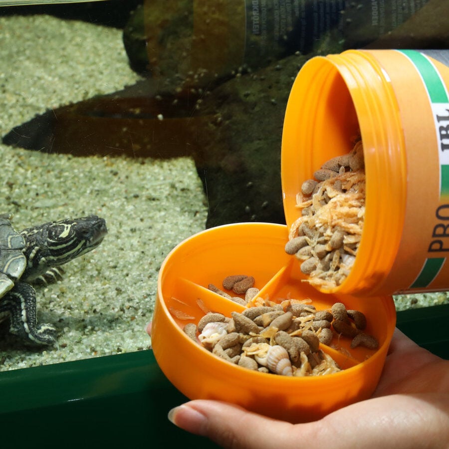 JBL Pro Terra Molluscus alimento para tortugas, , large Imagen numero 3