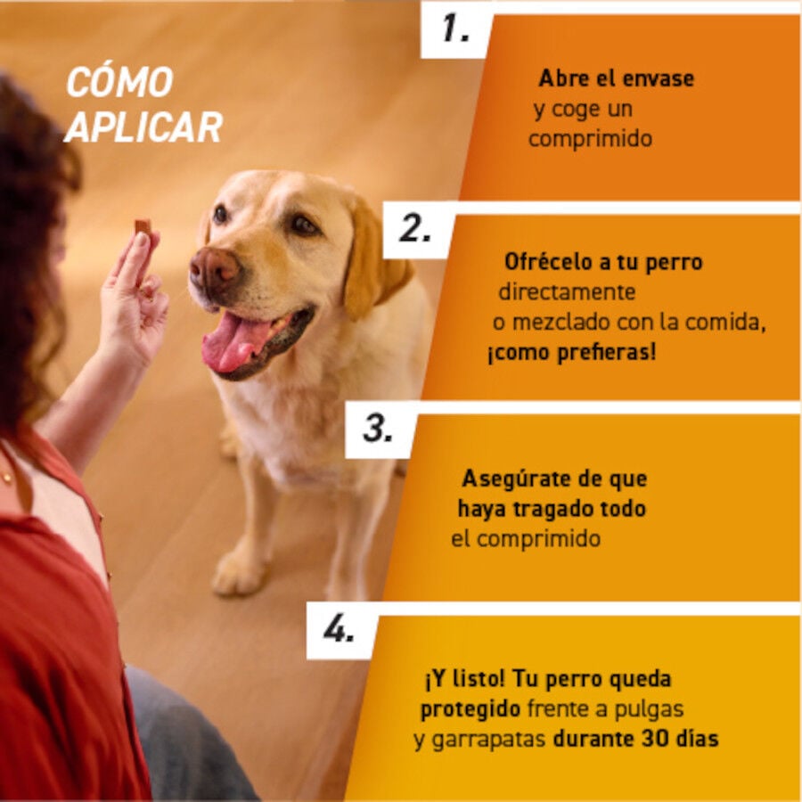 Frontpro Comprimidos Masticables Antiparasitario para perros, , large indicador imagen numero 5