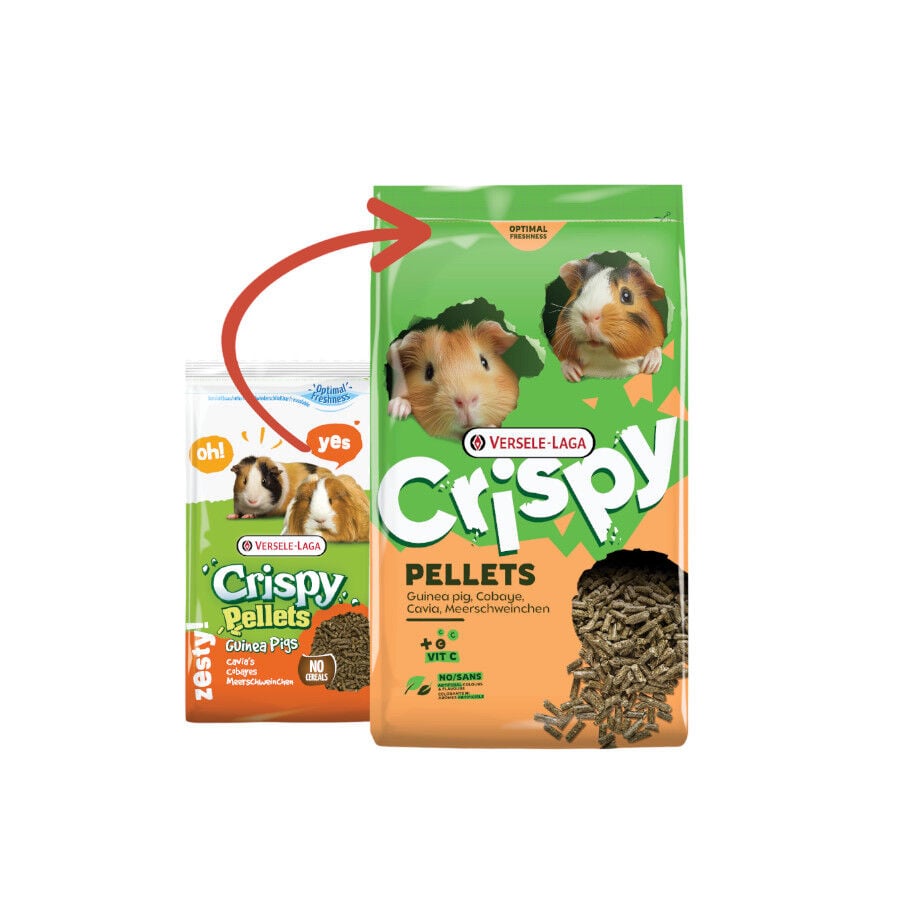 Versele-Laga Crispy Pellets Pienso para cobayas