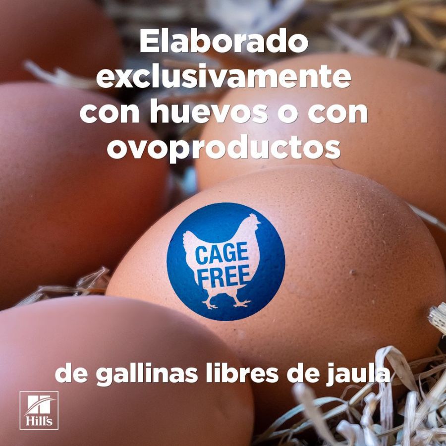 85 g Hill's Science Plan Adult Mousse de Pollo lata para gatos, , large indicador imagen numero 6