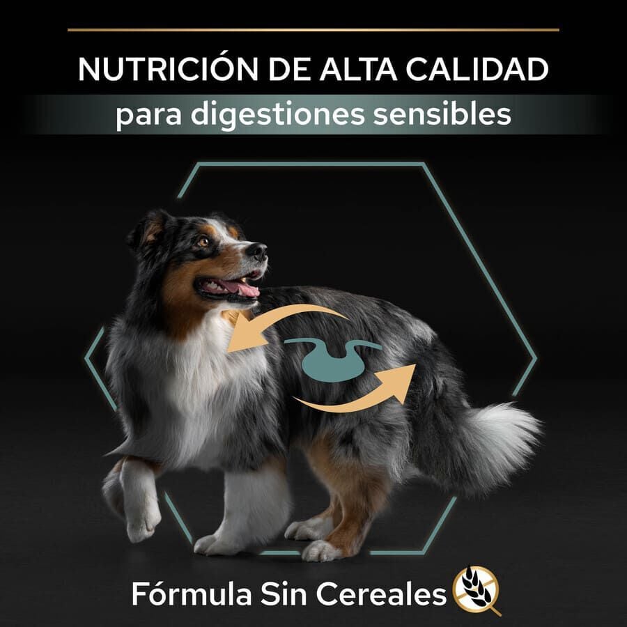 12 kg Pro Plan Adult Medium y Large Digesti&oacute;n Pavo pienso para perros, , large indicador imagen numero 8