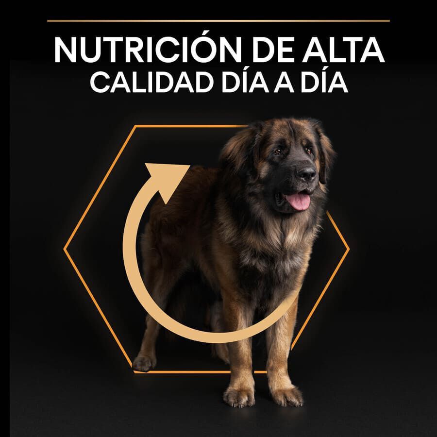 16.5 kg (14 + 2.5 kg &iexcl;gratis!) Pro Plan Large Robust Adult pienso para perros, , large indicador imagen numero 8