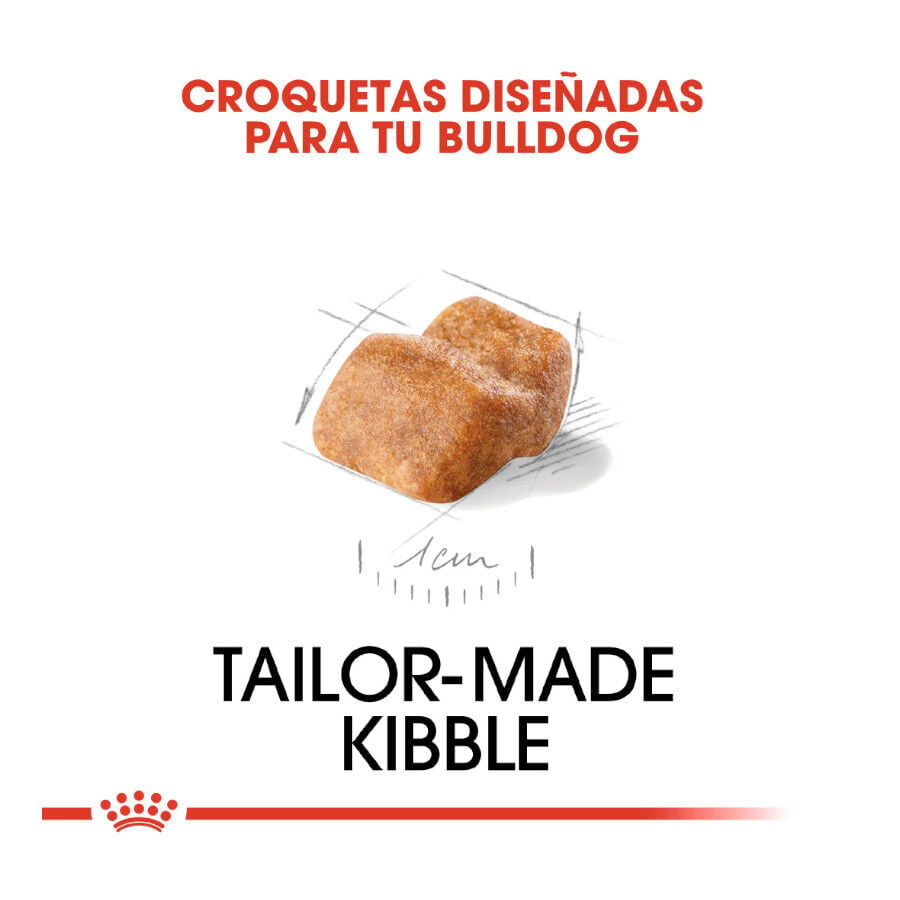 12 kg Royal Canin Puppy Bulldog pienso para perros, , large Imagen numero 5