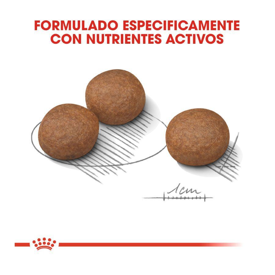 12 kg Royal Canin Digestive Care Medium pienso para perros, , large indicador imagen numero 4