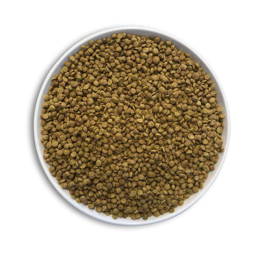 1 kg Cunipic Alpha Pro Medium Sized Birds Natural Blend pienso para p&aacute;jaros, , large Imagen numero 3