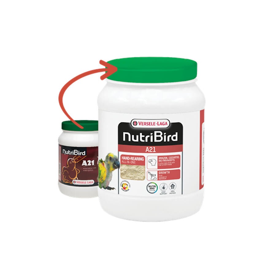 Versele-Laga Nutribird Papilla para cr&iacute;as