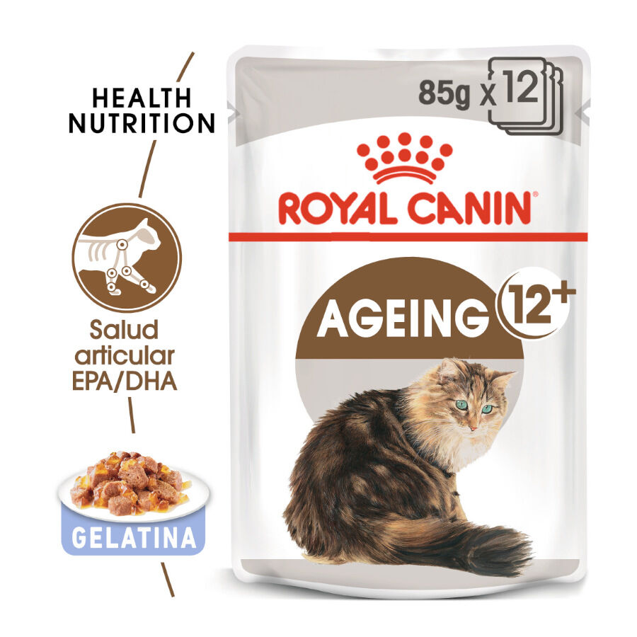 85 g Royal Canin Ageing 12+ gelatina sobres para gatos&nbsp;senior, , large indicador imagen numero 2