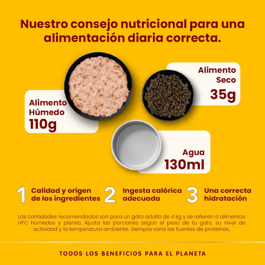 70 g Almo Nature HFC Natural Pollo lata para gatos , , large Imagen numero 4