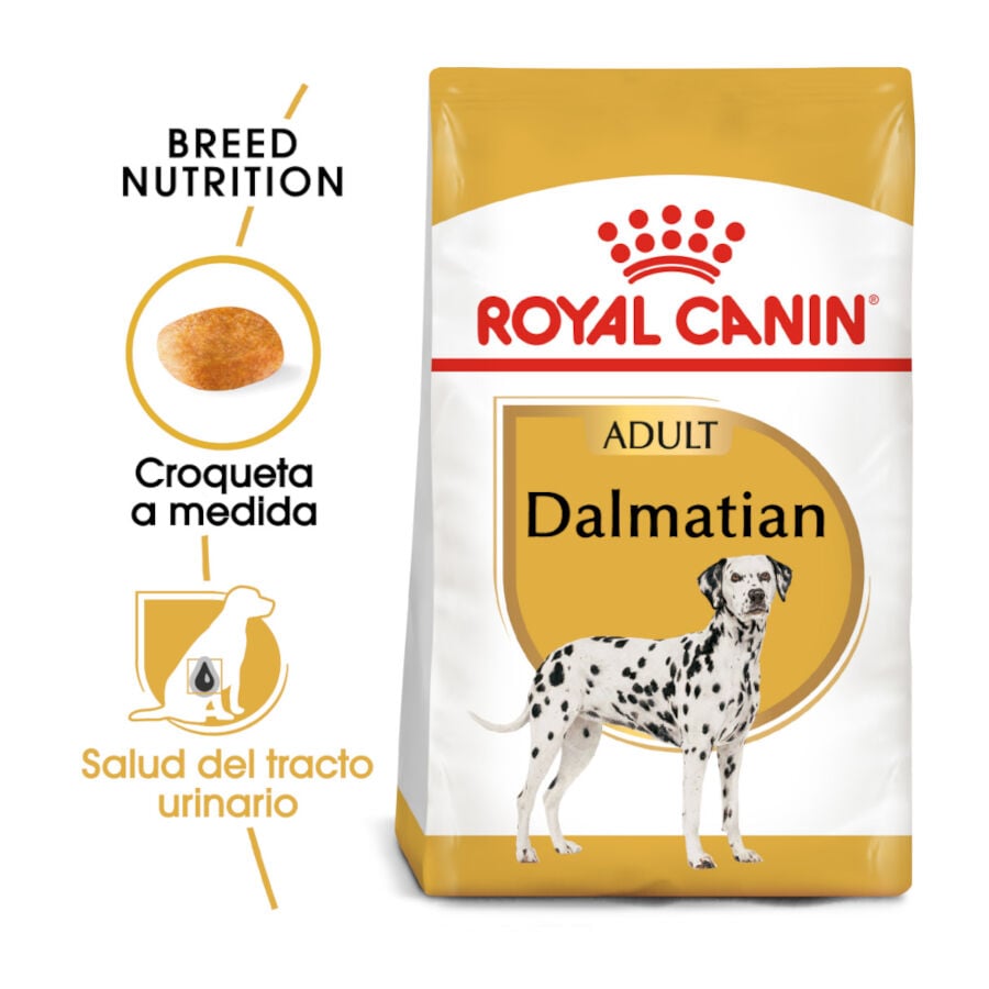 12 kg Royal Canin Adult D&aacute;lmata pienso para perros, , large Imagen numero 2