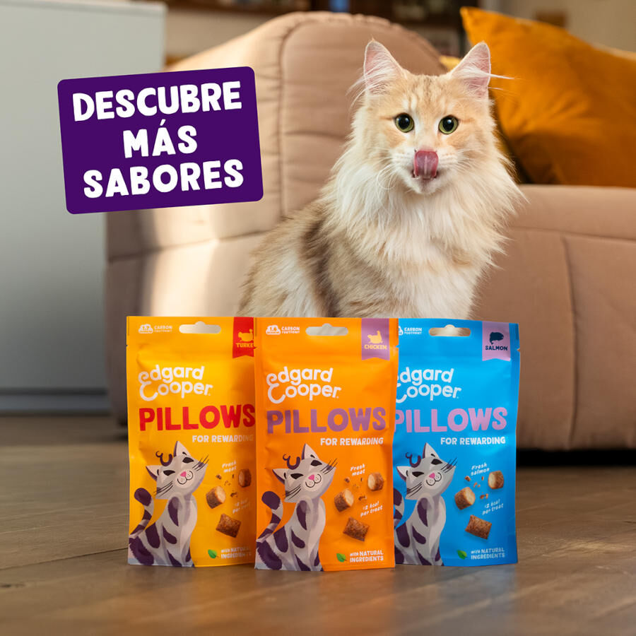 60 g Edgard & Cooper Bocaditos Pillows Pavo para gatos, , large indicador imagen numero 7