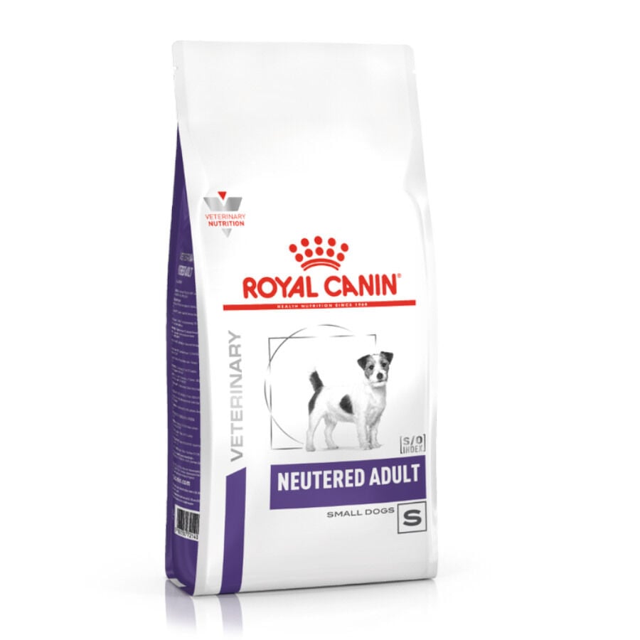 3.5 kg Royal Canin Adult Mini Veterinary Neutered pienso para perros, , large Imagen numero 1