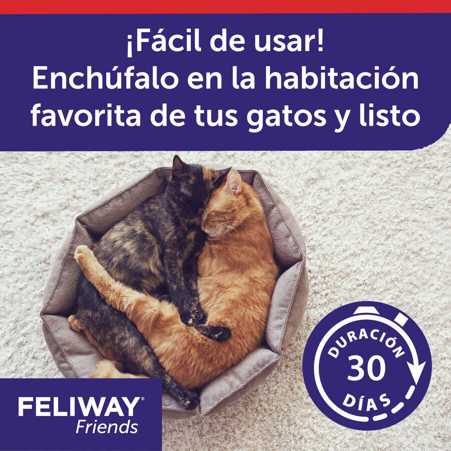 Feliway Friends Difusor para gatos, , large Imagen numero 4
