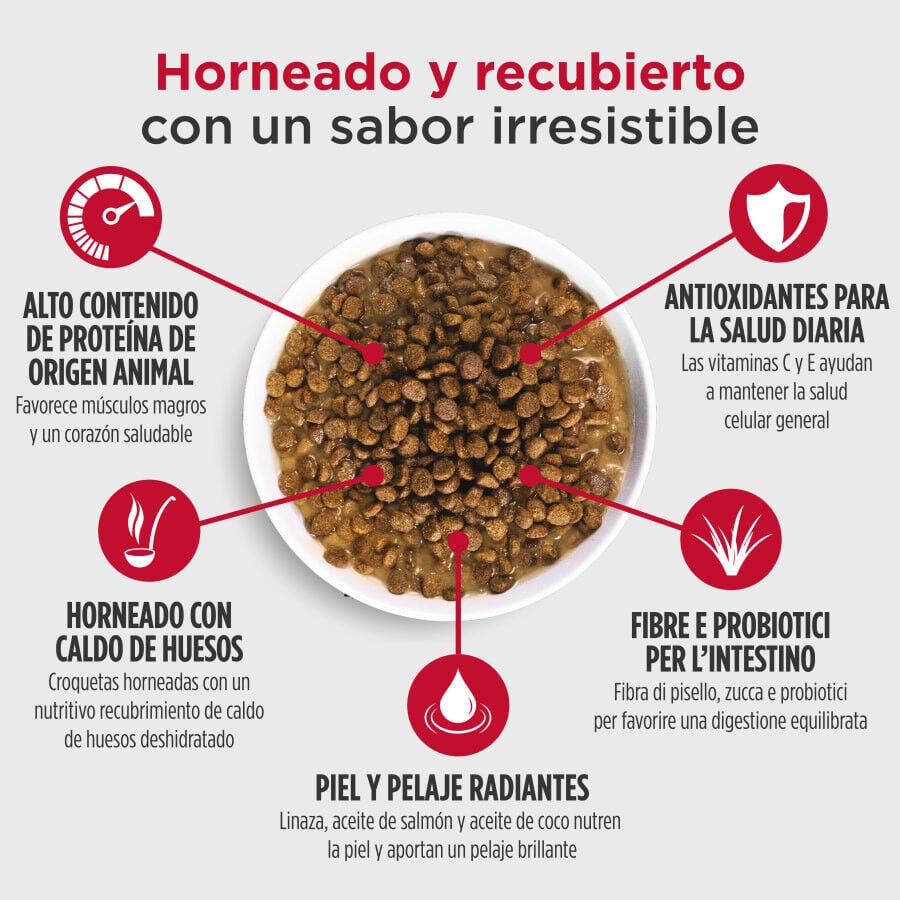 10 kg Nulo Baked Coated Cordero con Cerdo y Ternera Pienso para perros, , large indicador imagen numero 3