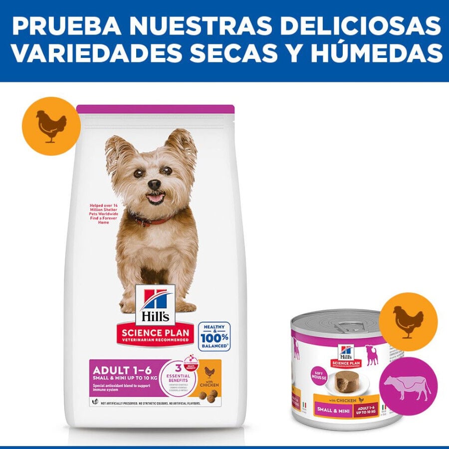 10 kg Hill's Science Plan Adult Small y Mini Pollo pienso para perros, , large indicador imagen numero 8