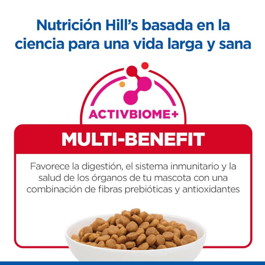6 kg Hill's Science Plan Puppy Small y mini Cordero y arroz para perros, , large Imagen numero 7