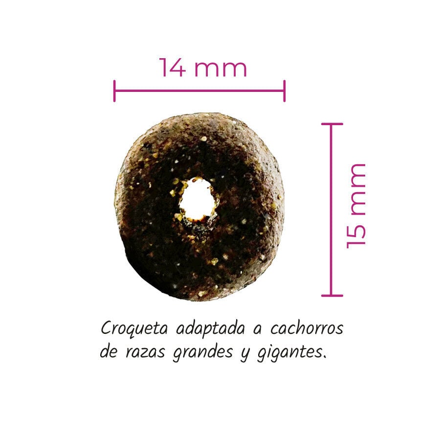 12 kg Lenda Original Maxi Puppy Pienso, , large Imagen numero 2