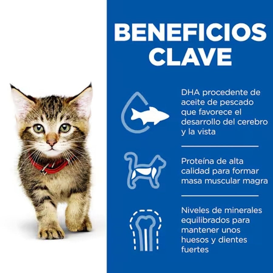 12 sobres x 85 g Hill's Science Plan Kitten Pollo y Pavo en Salsa sobre para gatos, , large indicador imagen numero 2