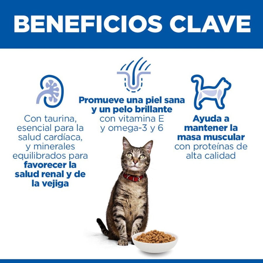 10 kg Hill's Science Plan Adult Pollo pienso para gatos, , large Imagen numero 4