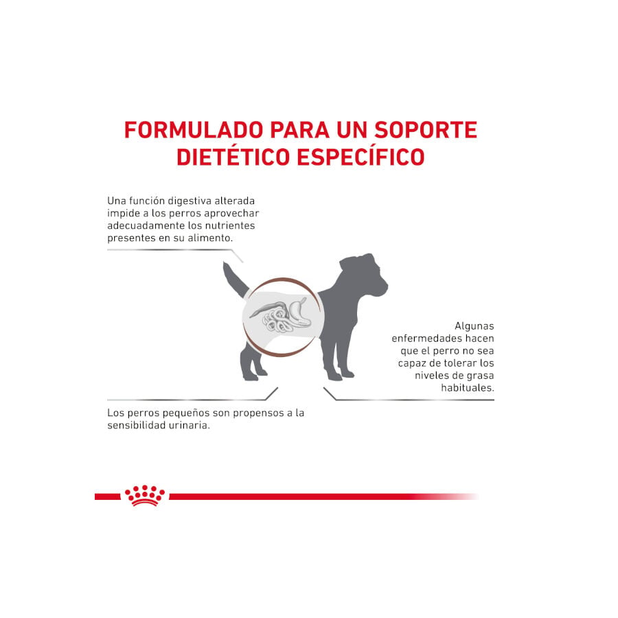8 kg Royal Canin GastroIntestinal Low Fat pienso para perros peque&ntilde;os, , large indicador imagen numero 2