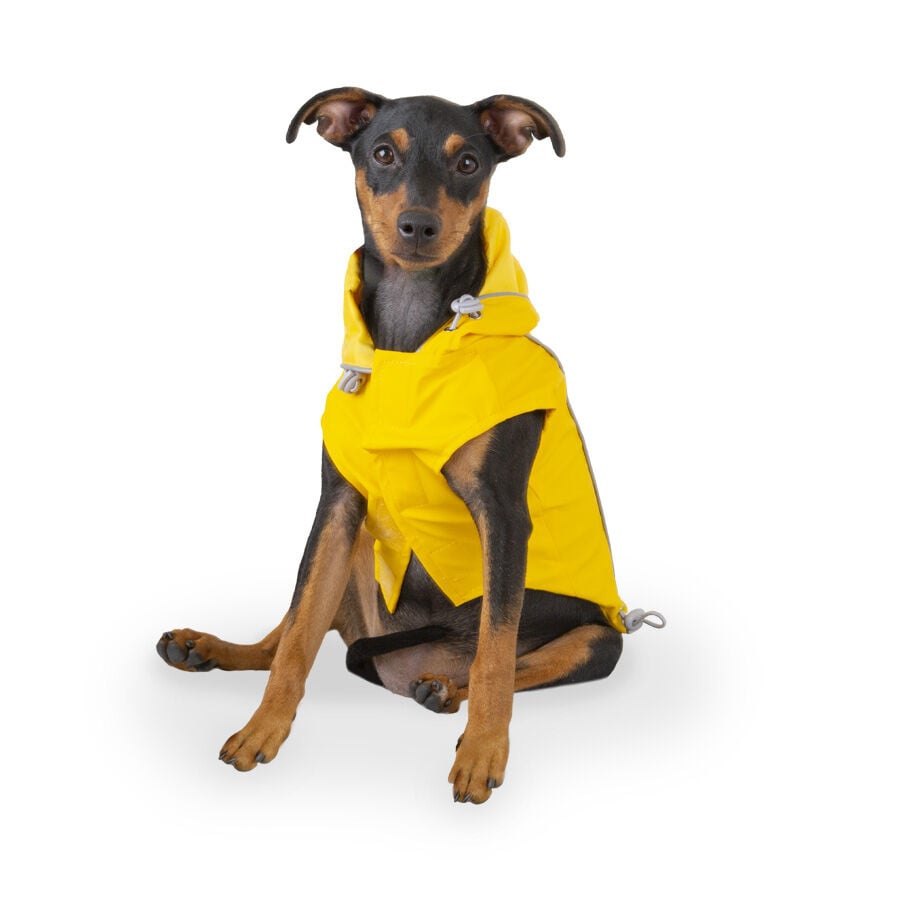 Outech Fisher Impermeable amarillo para perros, , large Imagen numero 1