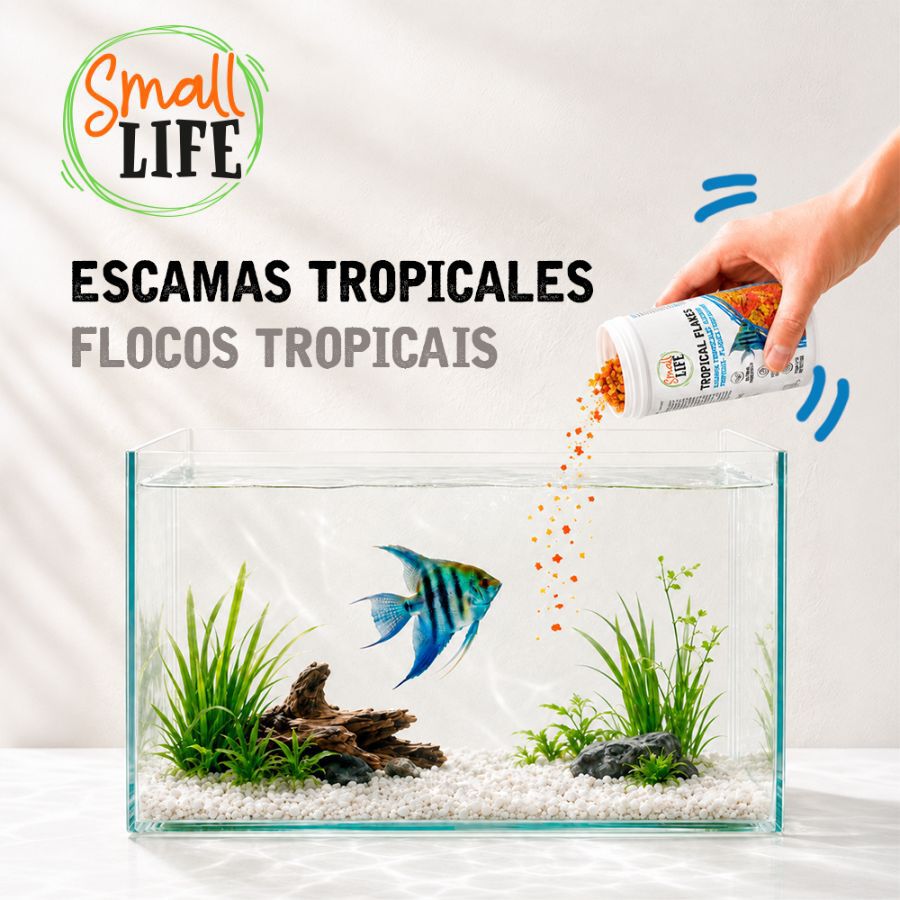 250 ml Small Life Escama Tropical Alimento para peces, , large Imagen numero 3