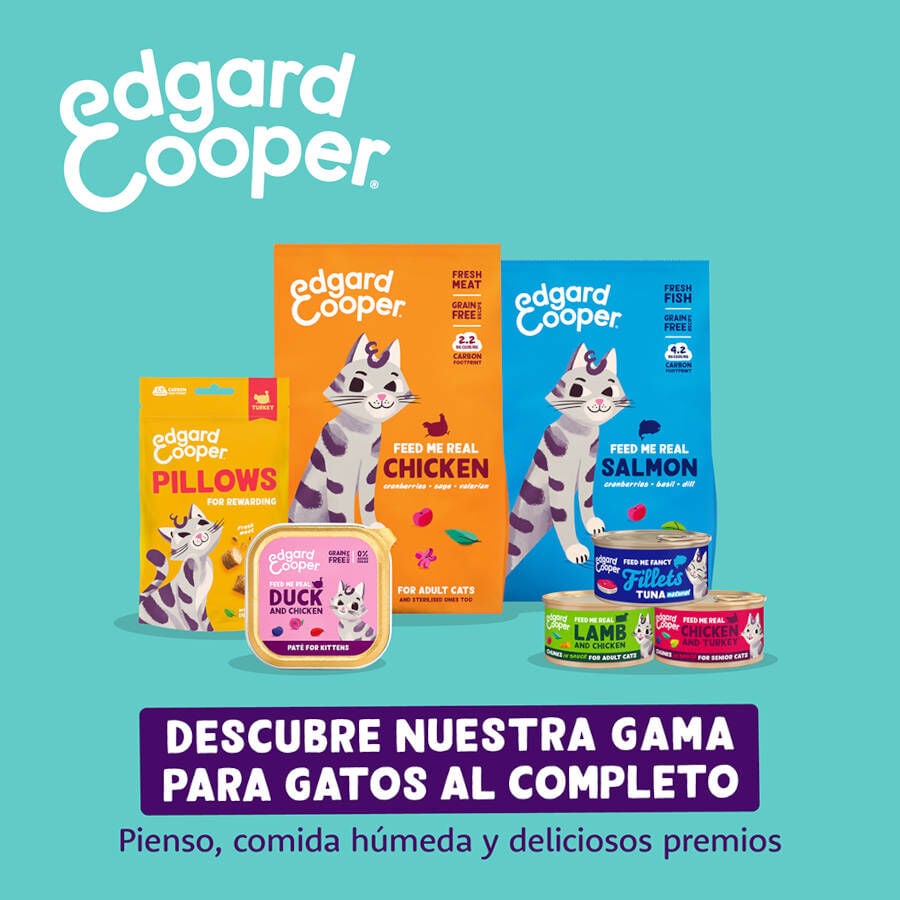 50 g Edgard & Cooper Galletas Crunchies Pollo para gatos, , large Imagen numero 8