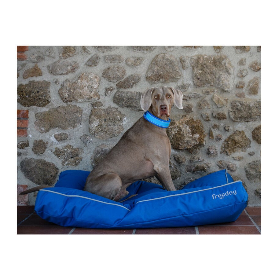 Freedog Cool Pro Tech Collar Refrescante Azul para perros, , large Imagen numero 4