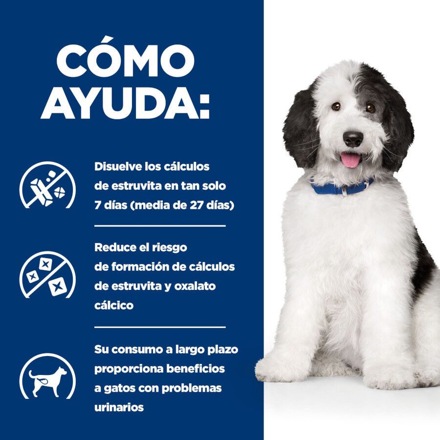 12 kg Hill's Prescription Diet Urinary Care c/d Pollo pienso para perros, , large indicador imagen numero 4