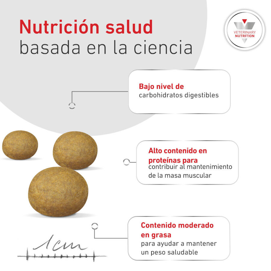 1.5 kg Royal Canin Glycobalance Pienso para perros, , large indicador imagen numero 6