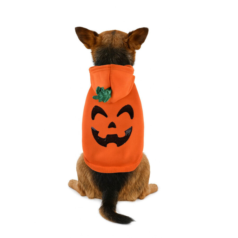 Nayeco Sudadera Halloween para perros, , large indicador imagen numero 4