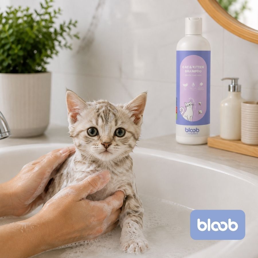 Bloob Champ&uacute; Fragancia Empolvada para gatos, , large indicador imagen numero 2