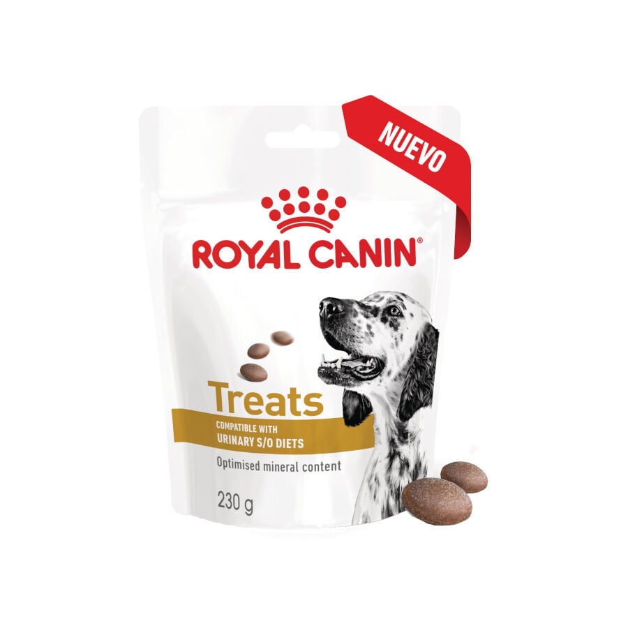 230 g Royal Canin Treats Urinary Snacks para perros, , large Imagen numero 2