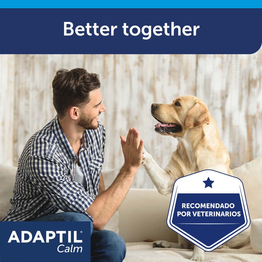 Adaptil Difusor + Recambio Tranquilizante para perros, , large Imagen numero 8