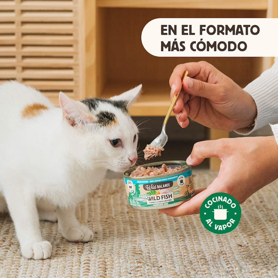 120 g Wild Balance BARF Pescado y Pavo lata para gatos, , large indicador imagen numero 3